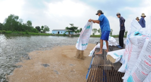 Thủ tục nhập khẩu thức ăn chăn nu&ocirc;i cho hải sản theo quy định mới nhất