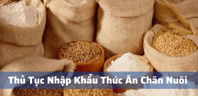 Thủ tục nhập khẩu thức ăn chăn nu&ocirc;i gia s&uacute;c gia cầm theo quy định