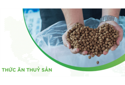 Đăng ký thức ăn thủy sản: Hướng dẫn chi tiết từ A–Z mới nhất