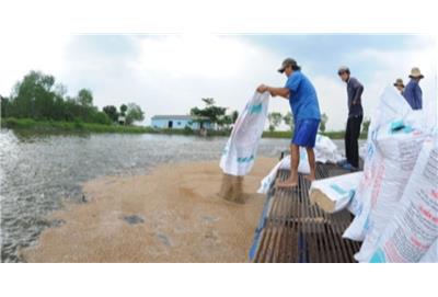 Thủ Tục Nhập Khẩu Thức Ăn Thủy Sản Gồm Những Gì?