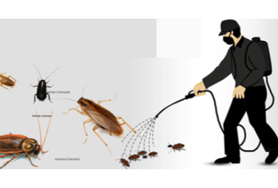 Tư vấn đăng ký lưu hành chất diệt côn trùng - Nhanh, đúng quy định