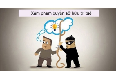 Xử lý xâm phạm sở hữu trí tuệ: Quy trình từ A–Z và cơ quan có thẩm quyền